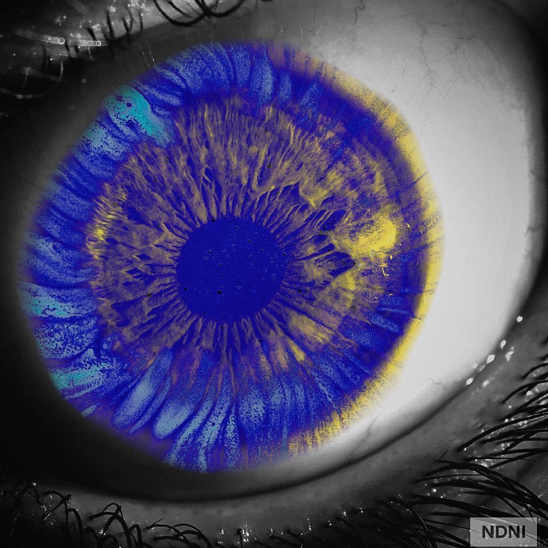 83551951_135797657906437_831353086268929942_n